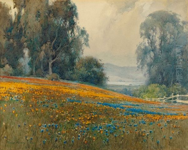 Eucalyptus Grove With Poppies And Lupine And Mount Tamalpais In The Distance Oil Painting by Percy Gray