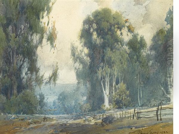 Eucalyptus In The California Hills Oil Painting by Percy Gray
