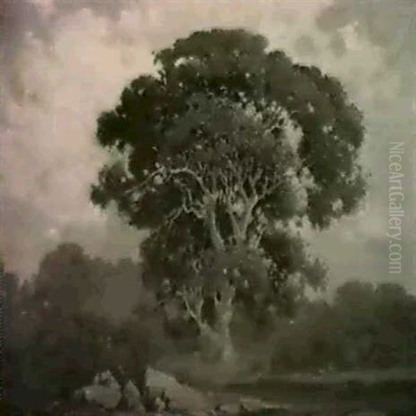 Oak Tree, Marin Oil Painting by Percy Gray
