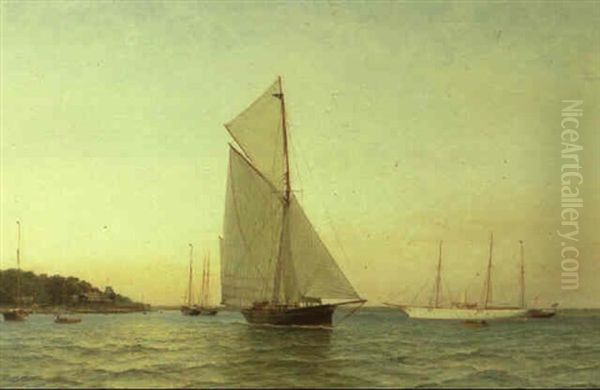 Racing Cutter With Other Yachts Oil Painting by George Gregory