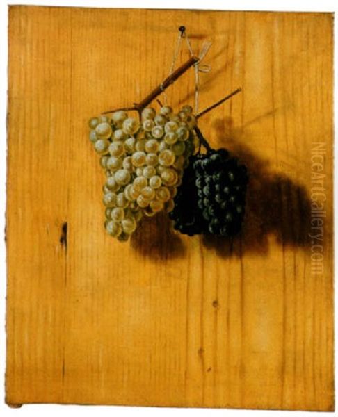 Trompe-l'oeil De Grappes De Raisin Sur Un Mur En Bois Oil Painting by Gabriel Gresly