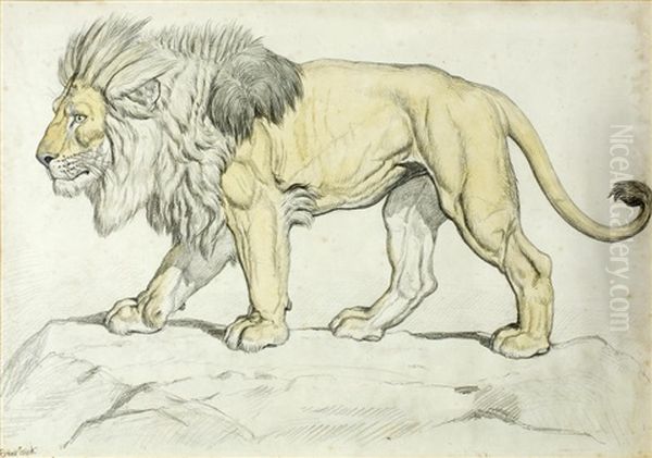 Study Of A Lion On Rocky Ground Oil Painting by Ernest Henry Griset
