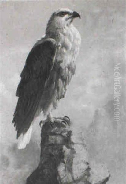 A Study Of A Fish Eagle Oil Painting by Ernest Henry Griset