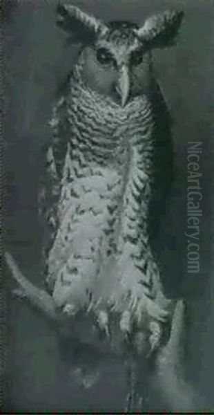 An Eagle Owl Oil Painting by Ernest Henry Griset