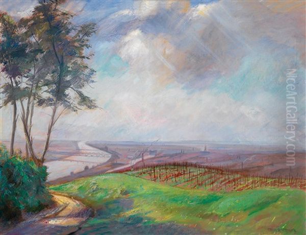 Blick Auf Die Donau Bei Wien Oil Painting by Hermann Grom-Rottmayer
