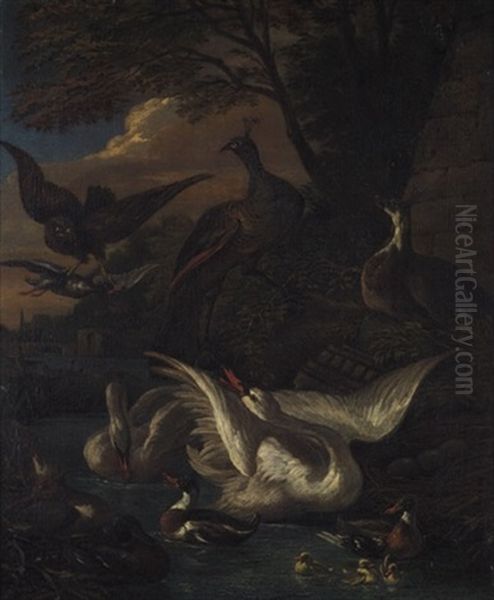 Landschaft Mit Pfauen, Schwanen, Enten Und Einem Greifvogel Oil Painting by Adriaen de Gryef