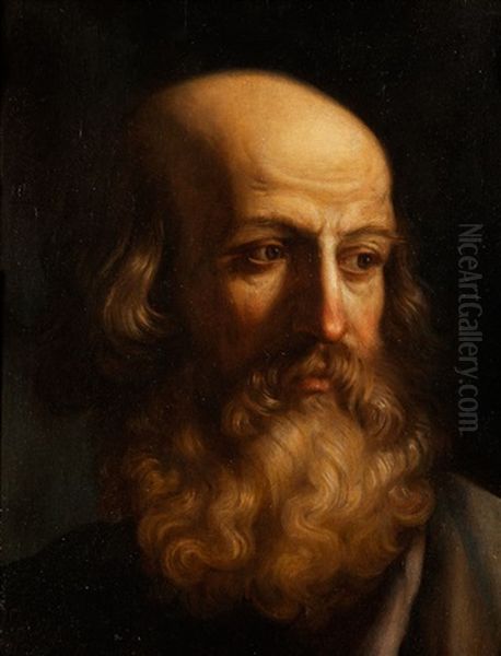 Kopf Eines Bartigen Mannes Oil Painting by Giovanni Francesco Barbieri