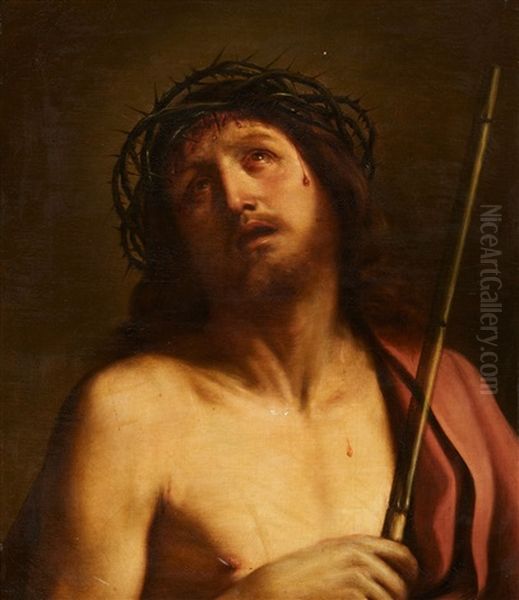 Ecce Homo Oil Painting by Giovanni Francesco Barbieri