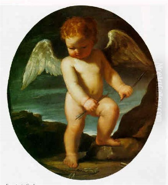 Infant Cupid Oil Painting by Giovanni Francesco Barbieri