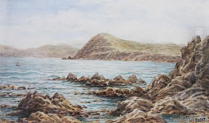 Mt Cooper, Titahi Bay Oil Painting by William George Baker
