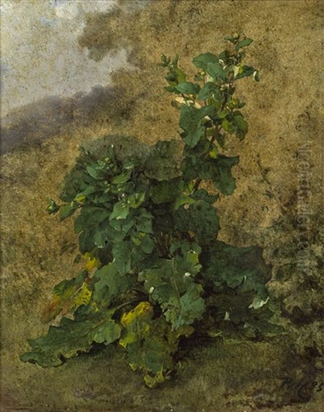 Pflanzenstudie Oil Painting by Remigius Adriannus van Haanen