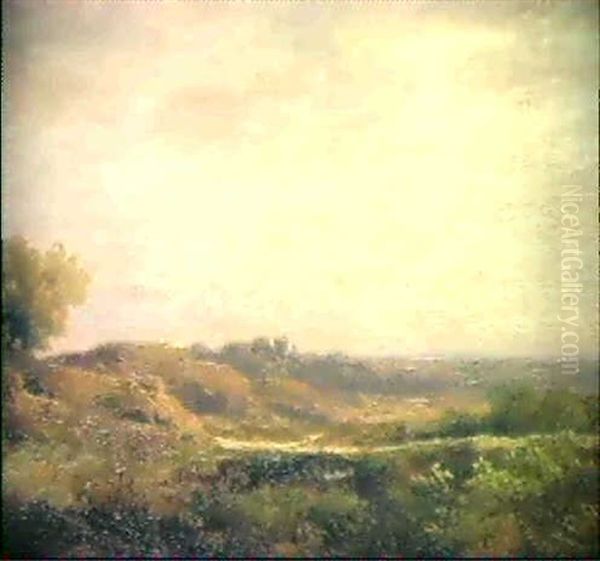 Schottische Hugellandschaft Oil Painting by Remigius Adriannus van Haanen