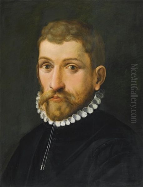 Portrait Of A Man, Head And Shoulders Oil Painting by Cornelis Cornelisz Van Haarlem