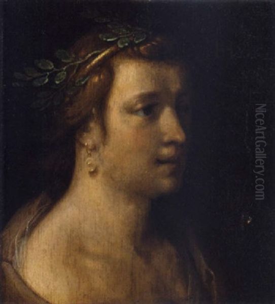 Bust Of A Man Wearing A Laurel Crown Oil Painting by Cornelis Cornelisz Van Haarlem