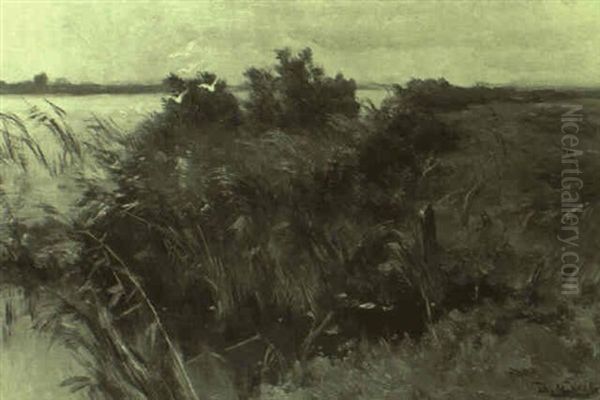 Seeufer Mit Auffliegenden Enten Oil Painting by Johannes-Hubertus-Leonardus de Haas