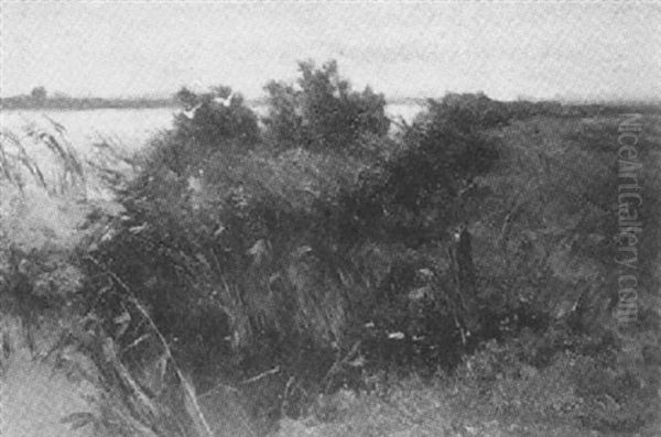 Grune Uferlandschaft Oil Painting by Mauritz F. H. de Haas