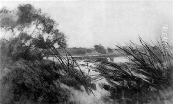 Markischer See Mit Verschilftem Ufer Oil Painting by Karl Hagemeister