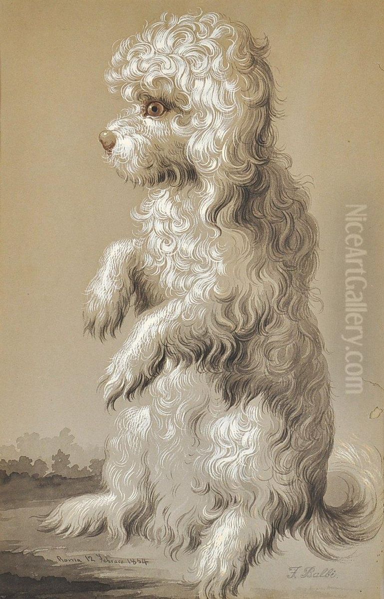 Study Of A Dog Oil Painting by Filippo Balbi