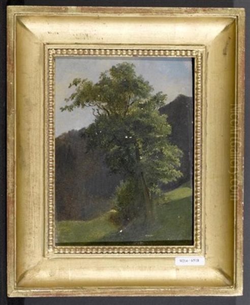 Landschaft Mit Baum Oil Painting by Ludwig Halauska
