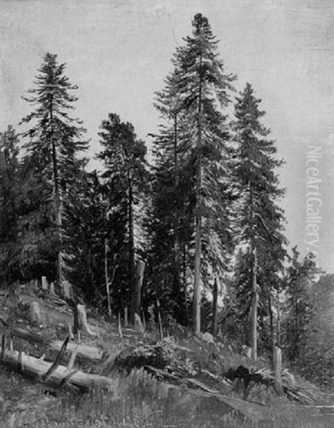 Baume Am Hang Oil Painting by Ludwig Halauska