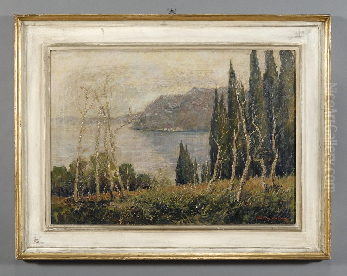 Scorcio Ligure Oil Painting by Guglielmo Baldassini