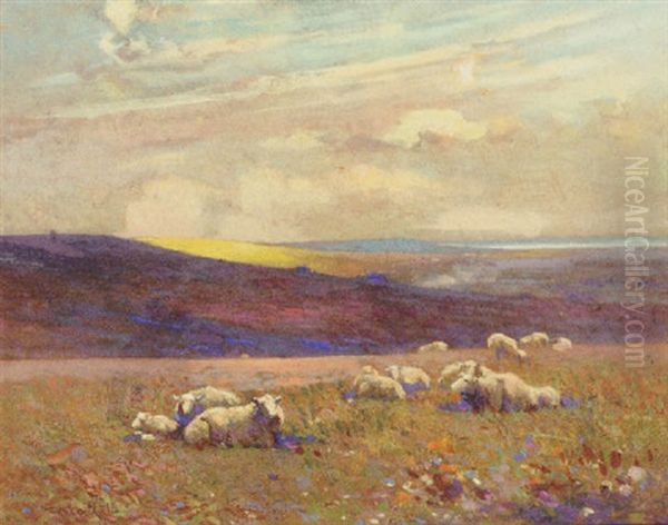 Grazing Sheep Oil Painting by Frederick Hall