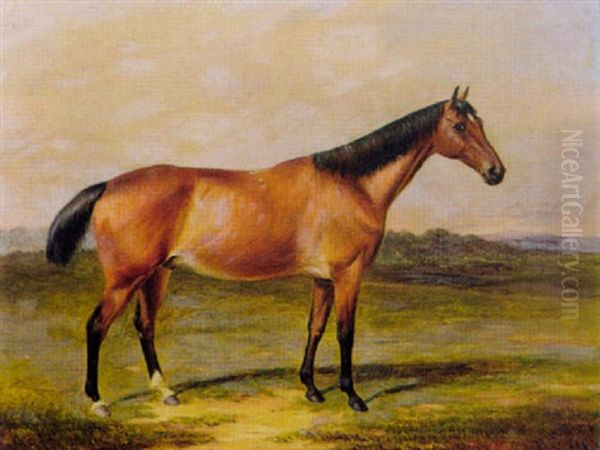 Rennpferd In Weiter Wiesenlandschaft Oil Painting by Harry Hall