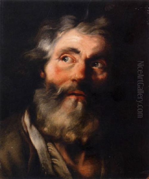 The Head Of A Bearded Man Oil Painting by Noel Halle