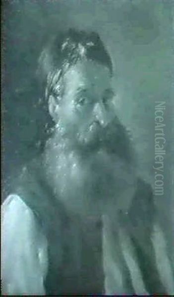 Etude De Vieillard Barbu Oil Painting by Noel Halle