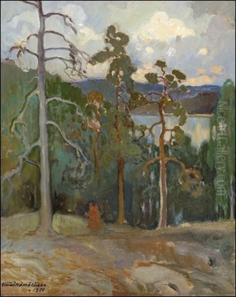 Maisema Vesijarvelta Oil Painting by Vaeinoe Haemaelaeinen