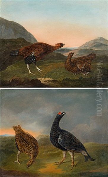 Blackcox And Partridges (a Pair) Oil Painting by Philipp Ferdinand de Hamilton