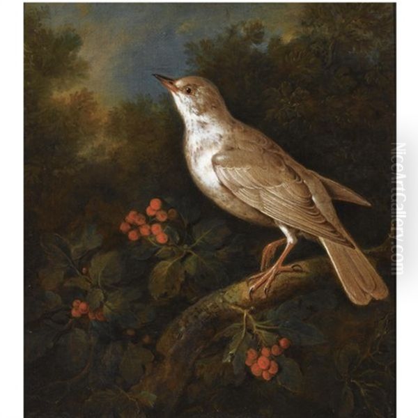 A Songbird On A Branch In A Wooded Landscape, Near A Currant Bush Oil Painting by Philipp Ferdinand de Hamilton