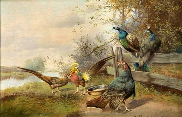 Truthahn, Pfauen Und Fasane Am Kanalufer Oil Painting by Max Josef Haenger Sr.