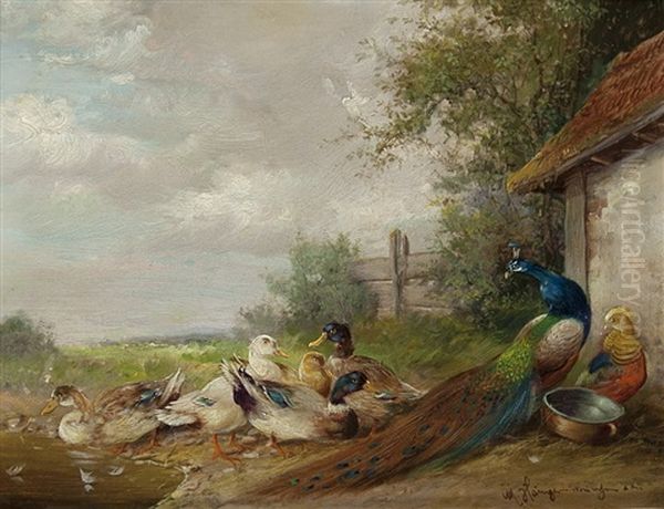 Federvieh Am Weiher Oil Painting by Max Josef Haenger Sr.