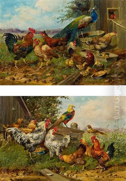 Pfau Am Huhnerhof Oil Painting by Max Josef Haenger Sr.