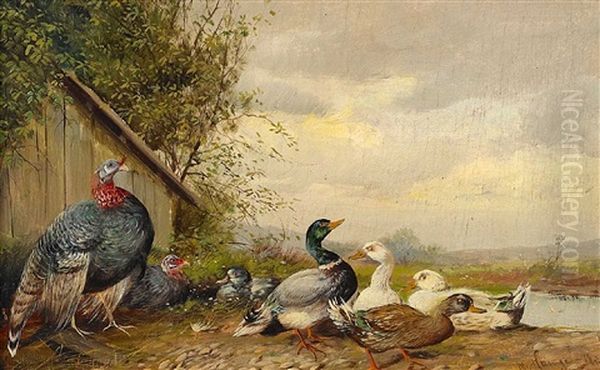 Truthahn Und Enten Oil Painting by Max Josef Haenger Sr.