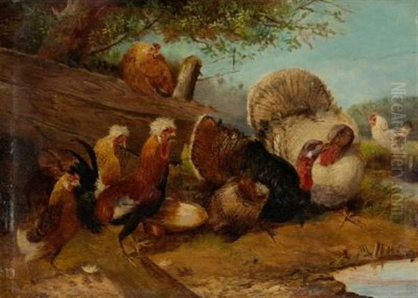 Huhner Mit Zwei Truthahnen An Einem Gewasser Oil Painting by Max Josef Haenger Sr.