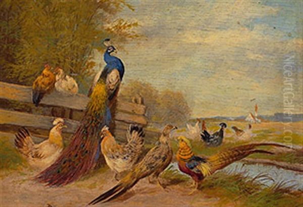 Pfau, Fasane Und Huhner In Sommerlicher Bachlandschaft Mit Hag Oil Painting by Max Josef Haenger Sr.