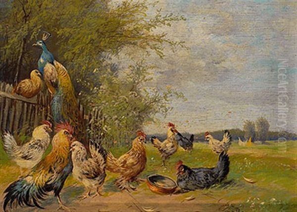 Pfau Und Huhner In Wiesenlandschaft Mit Zaun Oil Painting by Max Josef Haenger Sr.