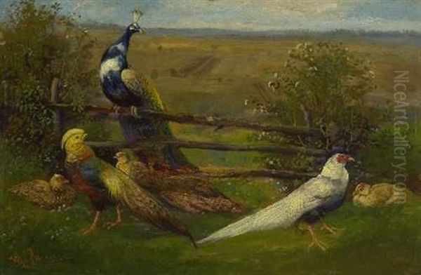 Federvieh Am Gatter Oil Painting by Max Josef Haenger Sr.