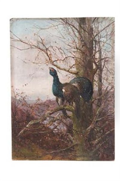 Balzender Auerhahn In Herbstlicher Landschaft Oil Painting by Max Josef Haenger Sr.