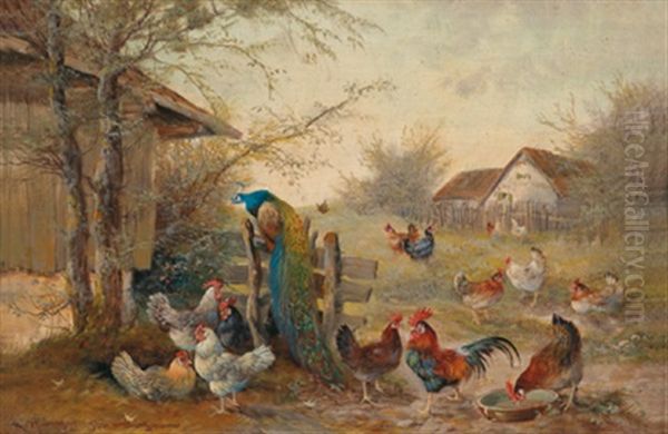 Huhnerhof Und Ein Pfau Oil Painting by Max Josef Haenger Sr.