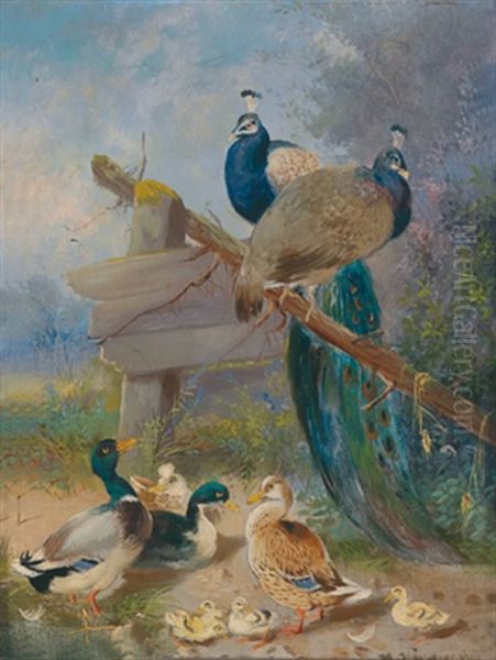 Zwei Pfauen Und Enten Am Teich Oil Painting by Max Josef Haenger Sr.