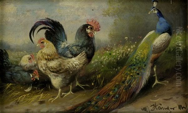 Huhnerhof Mit Einem Pfau Oil Painting by Max Josef Haenger Sr.