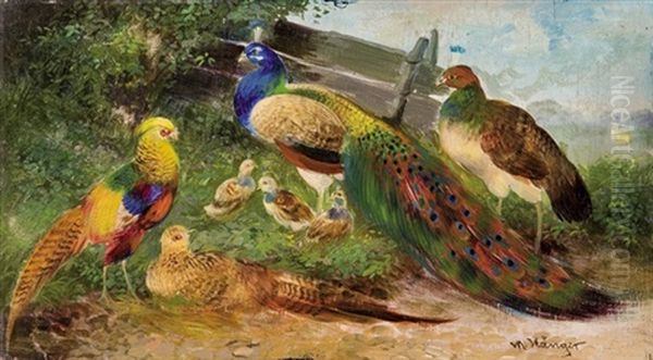 Peacocks And Pheasants Oil Painting by Max Josef Haenger Sr.