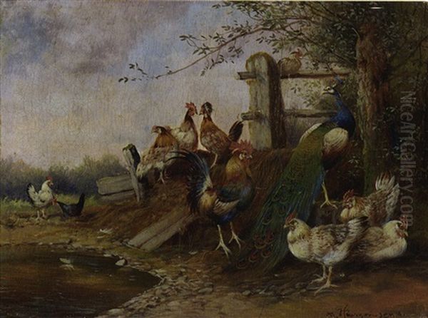 Huhnerhof Mit Hahn, Hennen Und Pfau Oil Painting by Max Josef Haenger Sr.