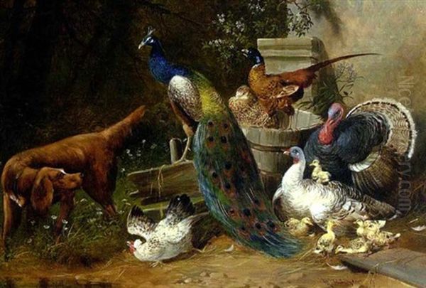 Geflugelhof Mit Hund Und Pfau Oil Painting by Max Josef Haenger Sr.