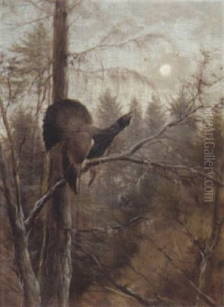 Balzender Auerhahn Oil Painting by Max Josef Haenger Sr.