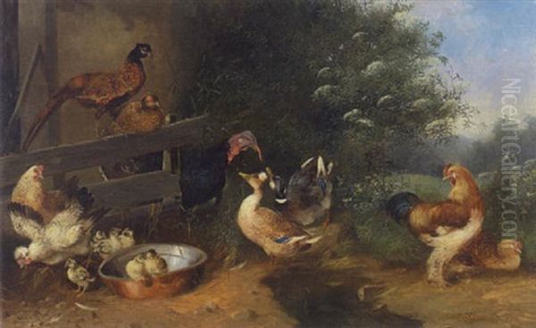 Hahn, Huhner, Kuken, Enten, Truthahn Und Fasane Oil Painting by Max Josef Haenger Sr.