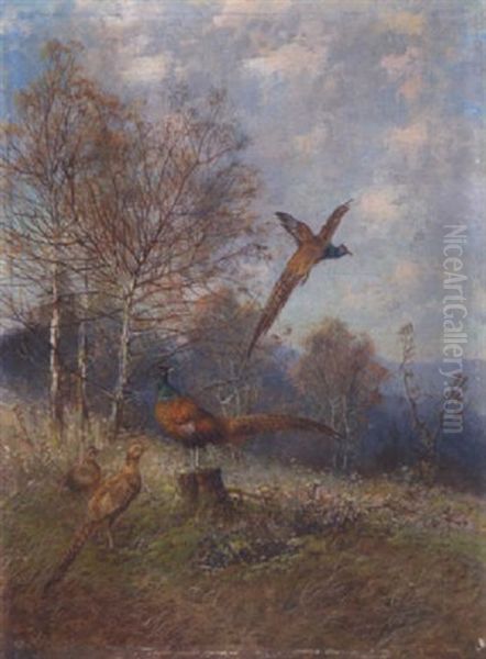 Fasane Au Herbstlicher Waldlichtung Oil Painting by Max Josef Haenger Sr.